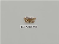 藏品(螟蛾181)的圖片